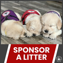 Sponsorship Opportunities