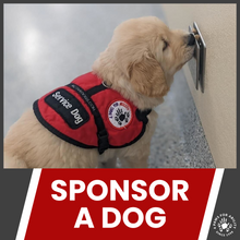 Sponsorship Opportunities