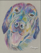 Donation - In Memorial or Honor of