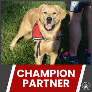 2025 4 Paws 5K Your Way Sponsorships