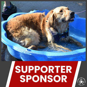 2025 4 Paws 5K Your Way Sponsorships