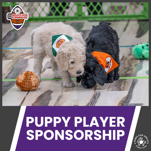 2026 Service Dog Scrimmage Sponsorships