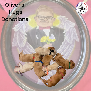 Donation - Oliver's Hugs Litter