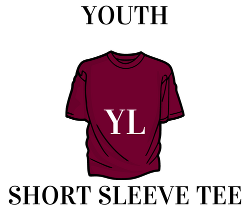 Clothing - Short Sleeve Tee - YOUTH - Large - Mystery Style
