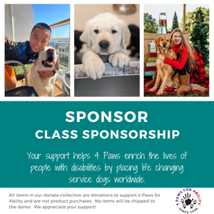 Sponsorship - Class