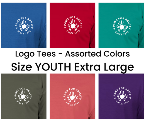 Clothing - Logo Tees - YOUTH Extra Large