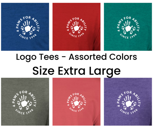Clothing - Logo Tees - Extra Large