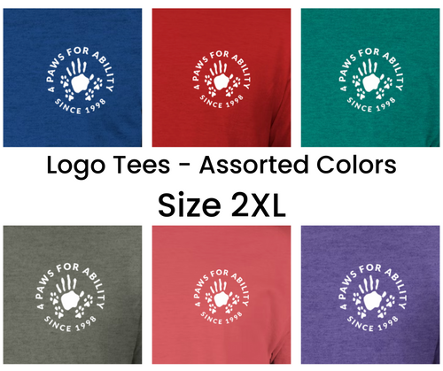 Clothing - Logo Tees - 2XL