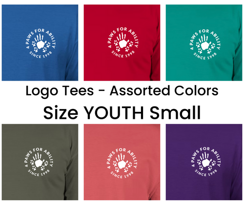 Clothing - Logo Tees - YOUTH Small